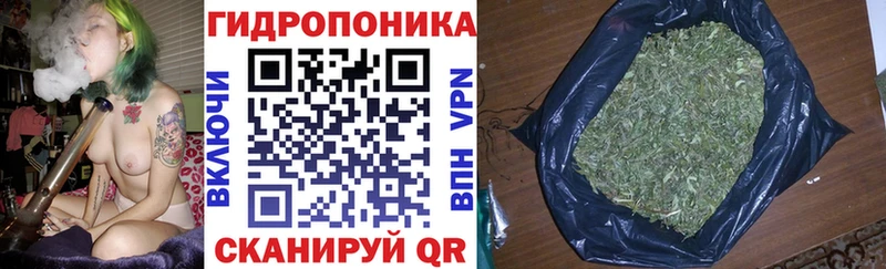 Где купить наркотики Кириллов Канабис Меф ГАШИШ