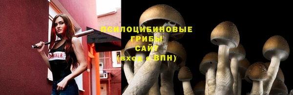 бошки Алексеевка