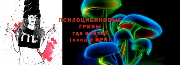 шишки Осташков