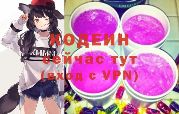ECSTASY Пестово