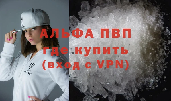 шишки Осташков