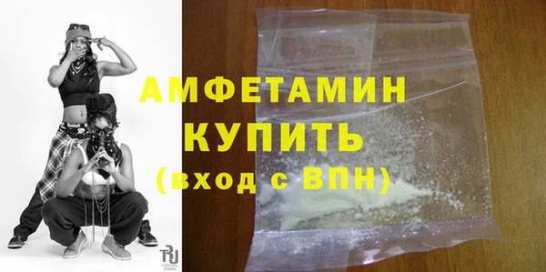 шишки Осташков